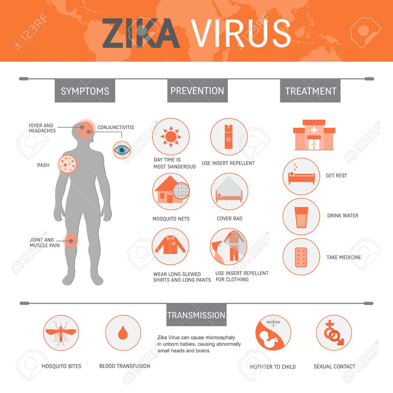 Zika Virus Infographic With Symptoms Treatment Prevention Map Virus Transmission Concept Isolated On White Background Royalty Free Cliparts Vectors And Stock Illustration Image 71474551