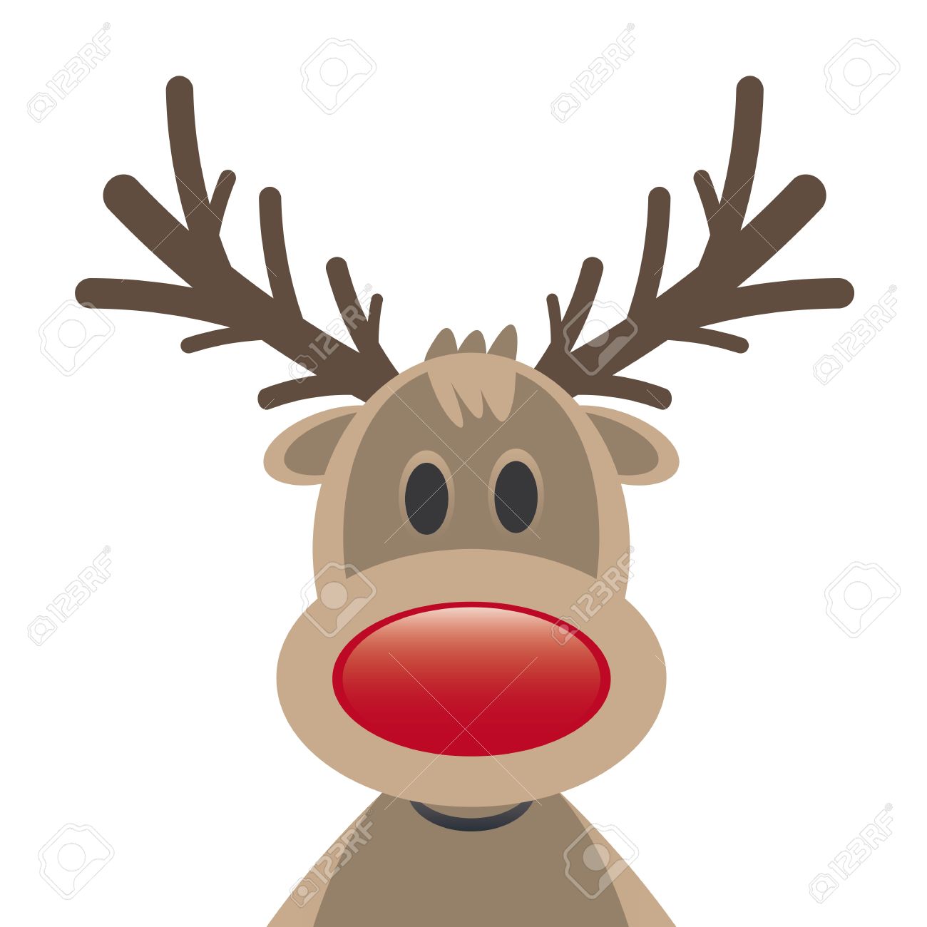 rudolph reindeer red nose on white background stock photo picture
