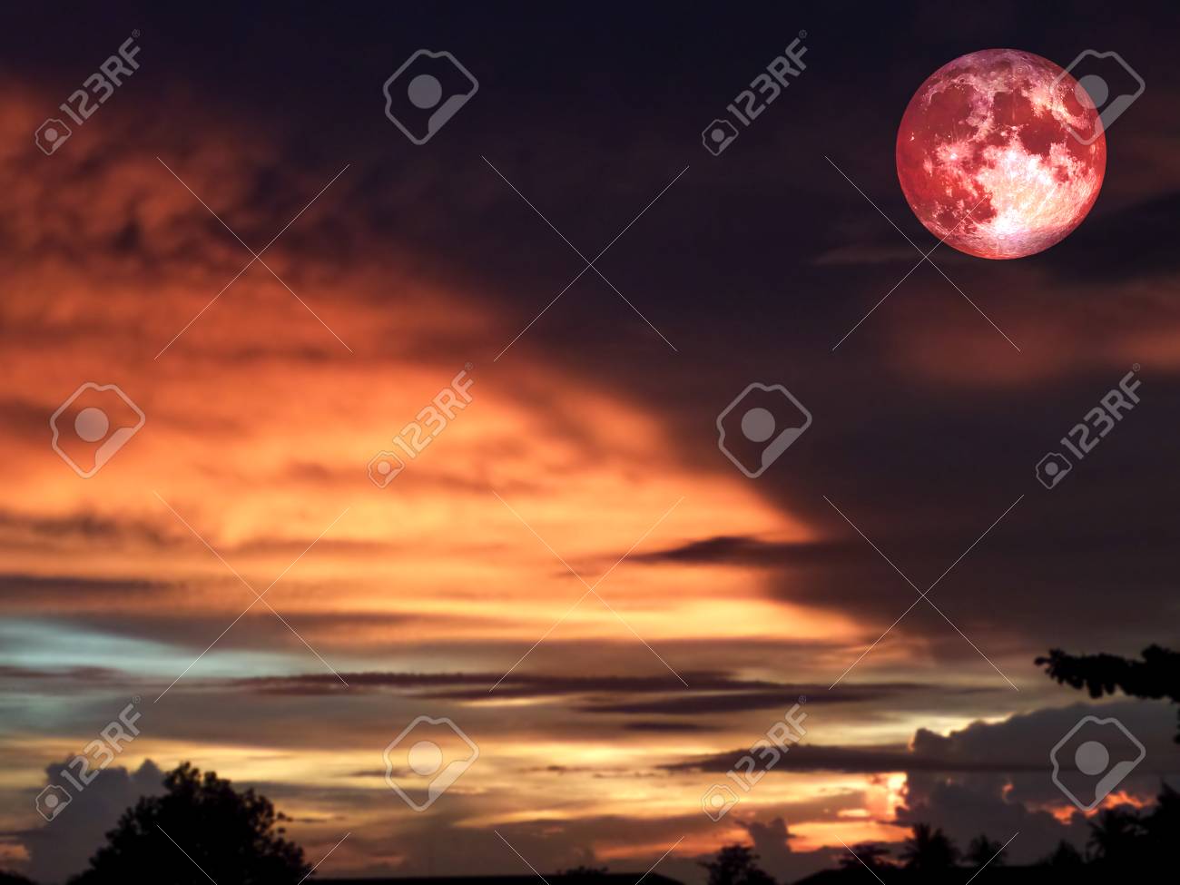 森林 Nasa から提供されたこの画像の要素の上の夜空にスーパー血の月 の写真素材 画像素材 Image 森林 Nasa から提供されたこの画像の要素の上の夜空にスーパー血の月 の写真素材 画像素材 Image
