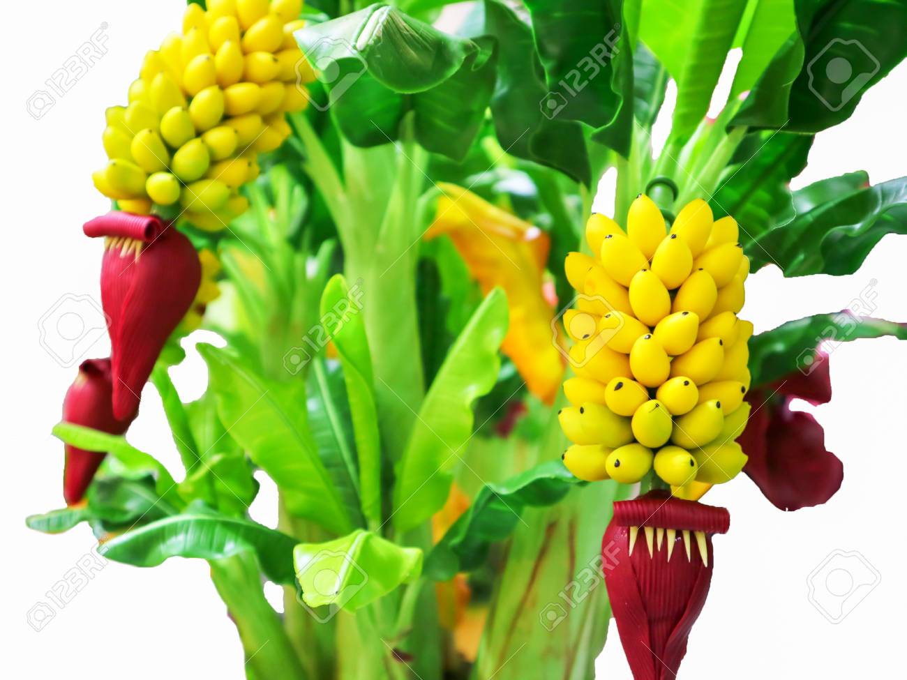 photo Cavendish Banana Tree cavendish banana tree hand craft made by japan clay isolated