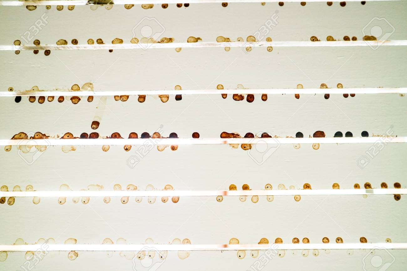 Ceiling Wood And Brown Ditry Rust Spot Was Born Rain Drop On