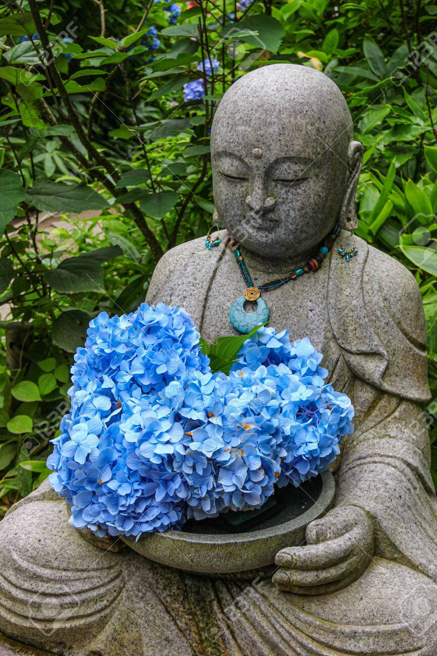 A buddha statue at a temple, holding fresh hydrangea flowers. - 149442378 A buddha statue at a temple, holding fresh hydrangea flowers. - 149442378