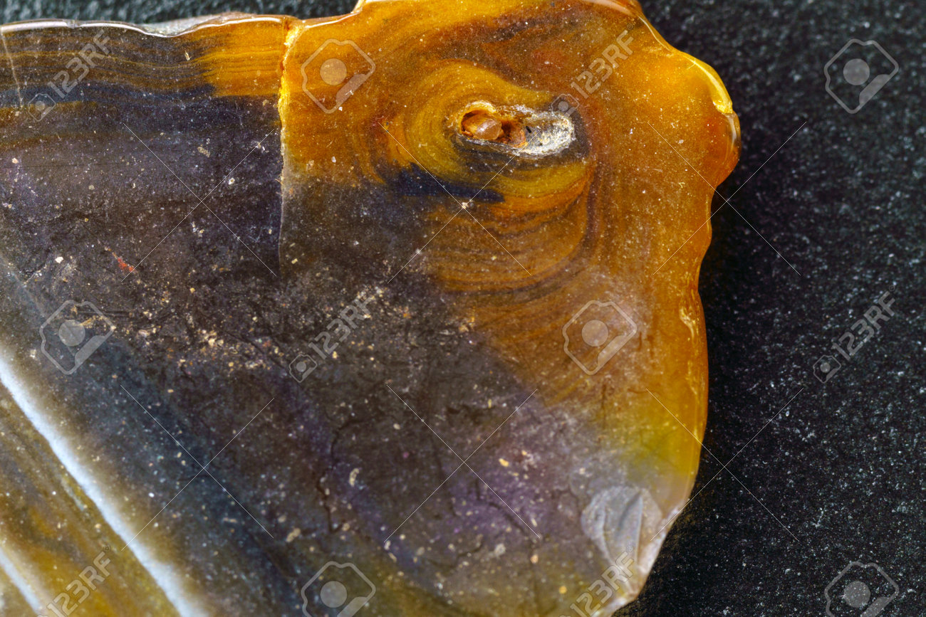 etiam-dictum-ipsum-a-felis