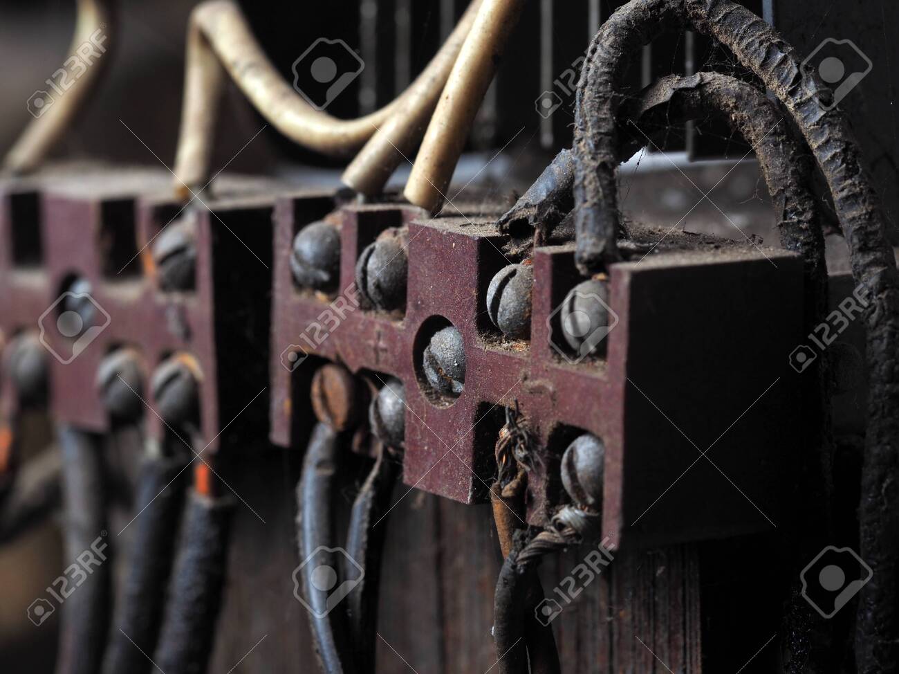 etiam-dictum-ipsum-a-felis