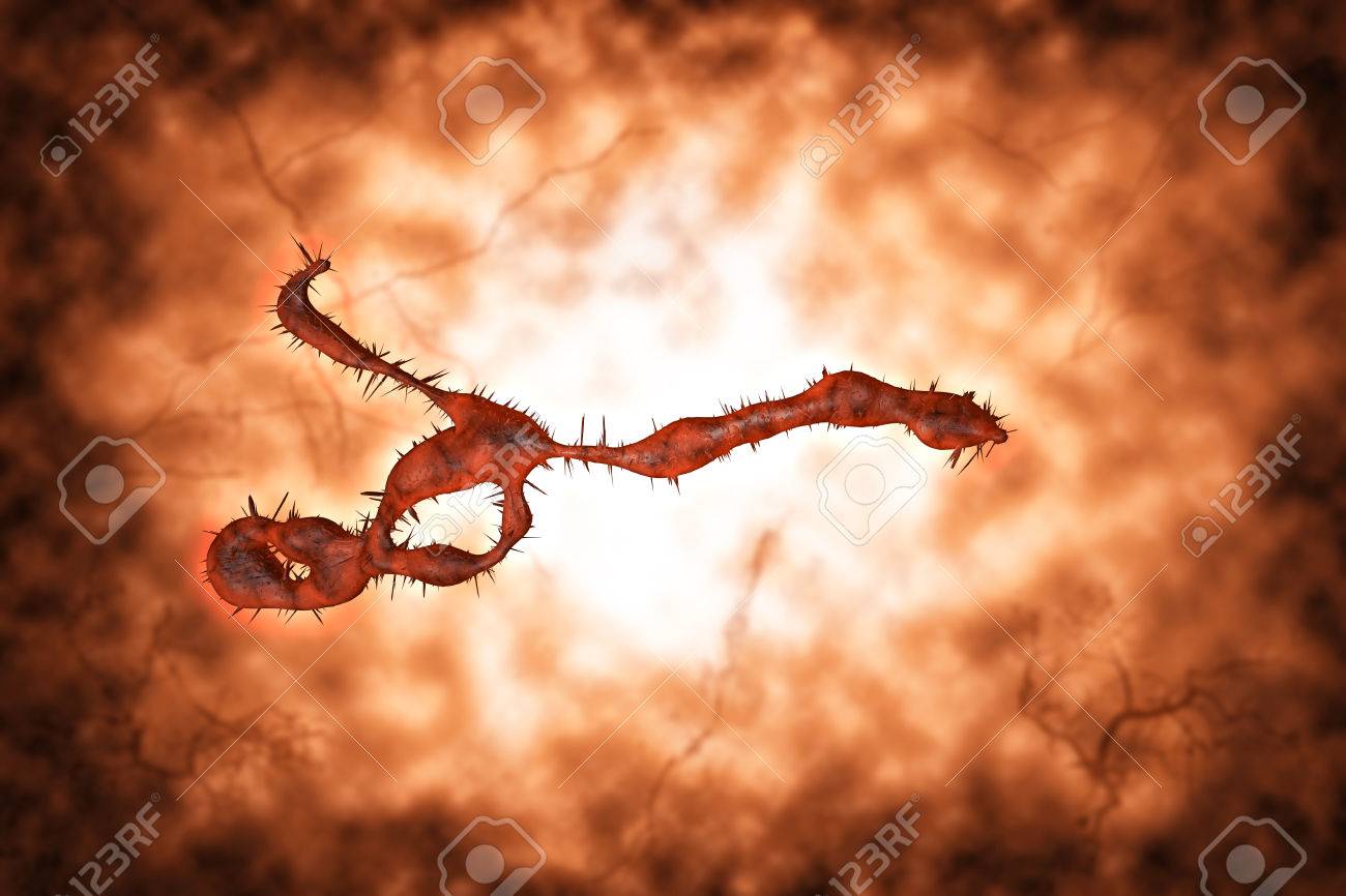 Medical illustration of the Ebola virus - 39146932 Medical illustration of the Ebola virus - 39146932