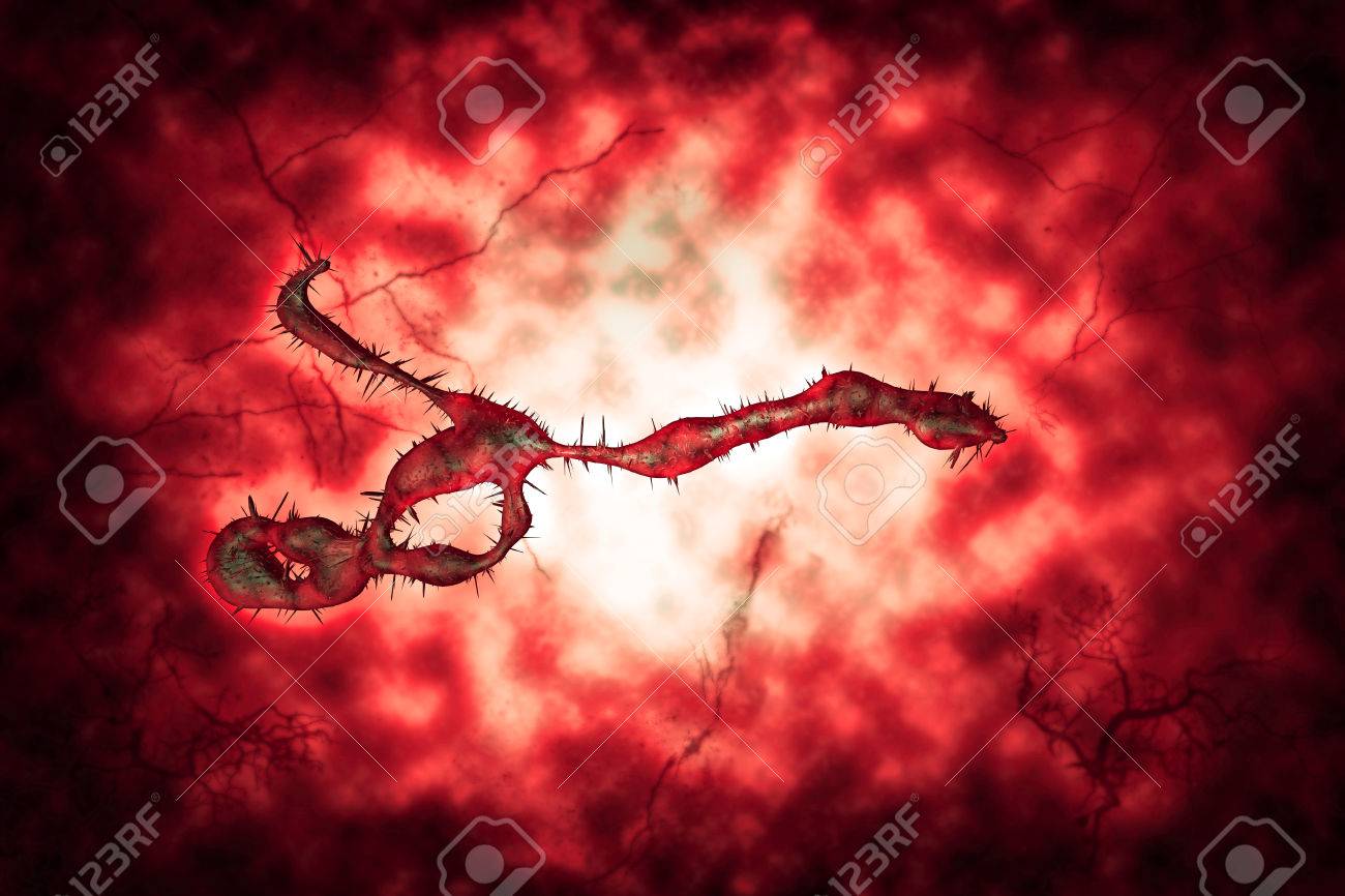 Medical illustration of the Ebola virus - 39146935 Medical illustration of the Ebola virus - 39146935