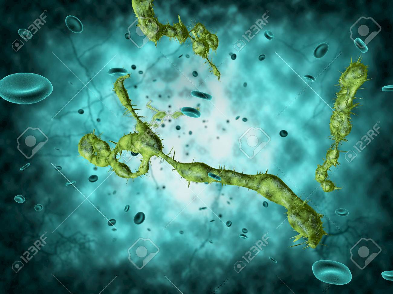 Medical illustration of the Ebola virus - 39160536 Medical illustration of the Ebola virus - 39160536