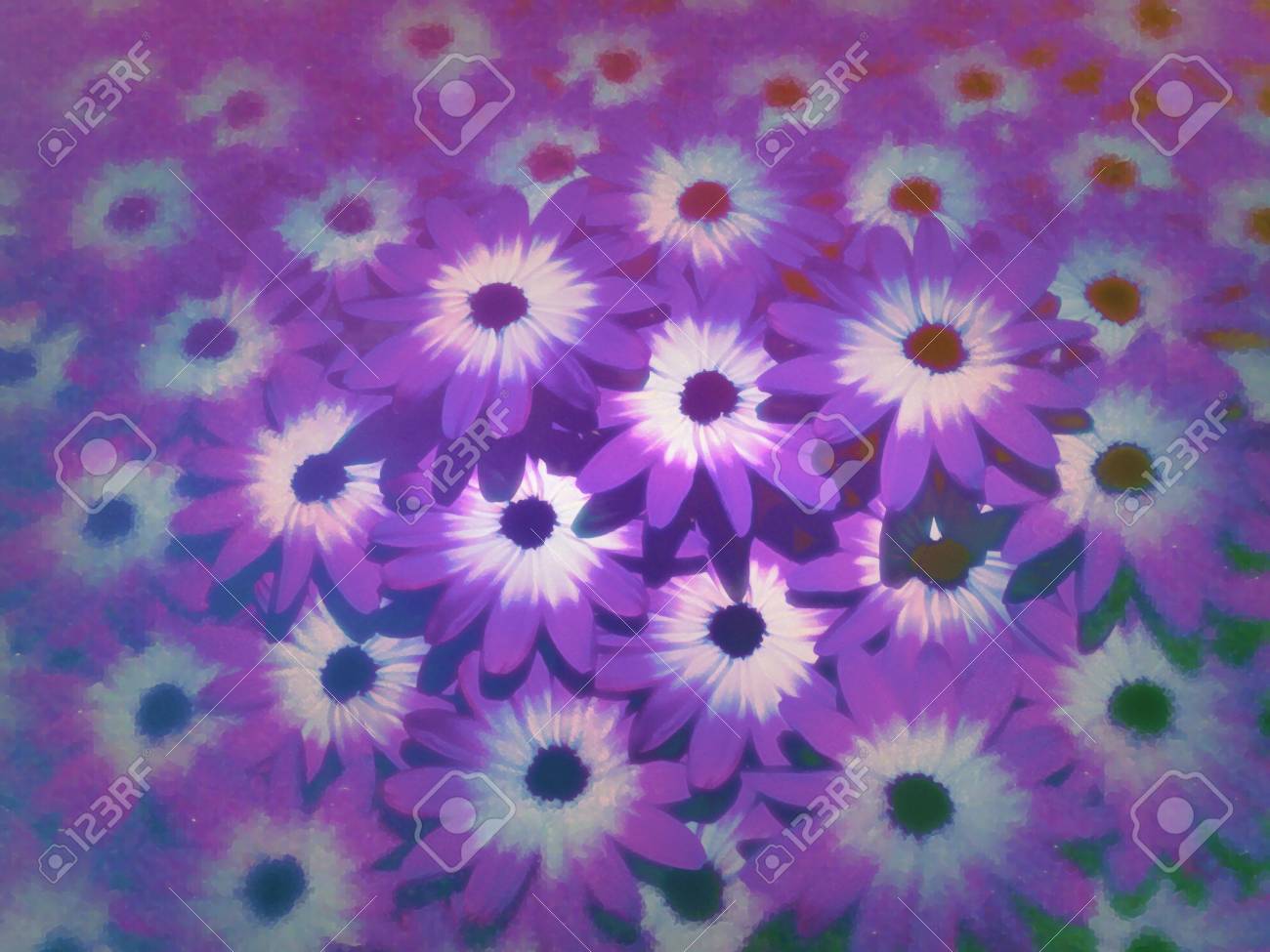 紫色の花がたくさん作られて背景を示す の写真素材 画像素材 Image