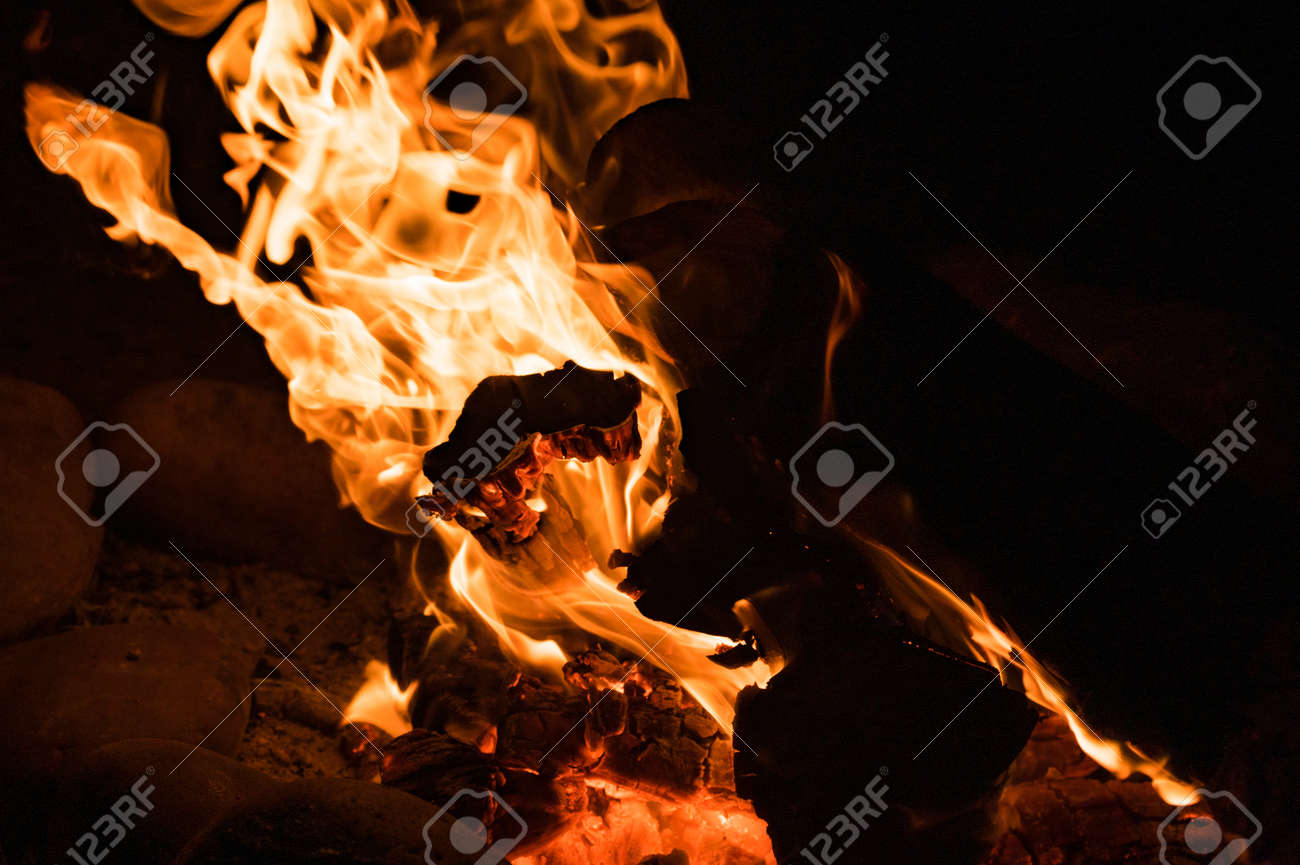 etiam-dictum-ipsum-a-felis