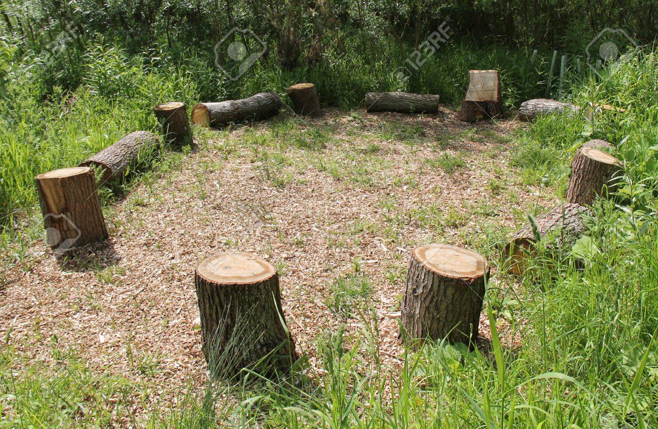 A Picnic Site Of Wooden Tree Trunk Seats In A Circle Stock Photo