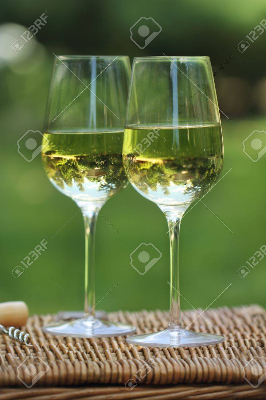 Zwei Glaser Des Weissen Wein Im Garten Lizenzfreie Fotos Bilder Und Stock Fotografie Image 12809697
