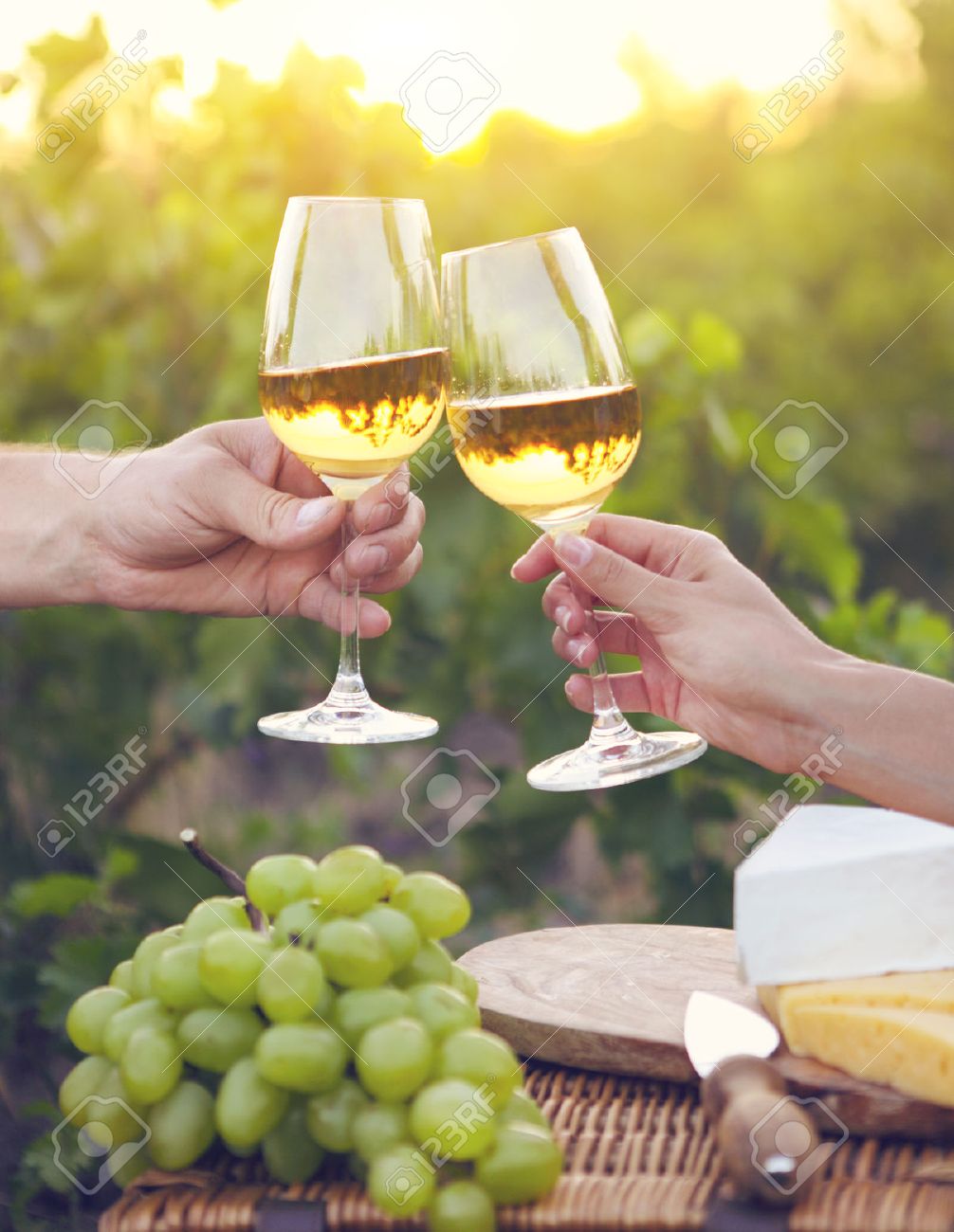 Young happy couple enjoying a glasses of white wine in the vineeard - 52124388 Young happy couple enjoying a glasses of white wine in the vineeard - 52124388