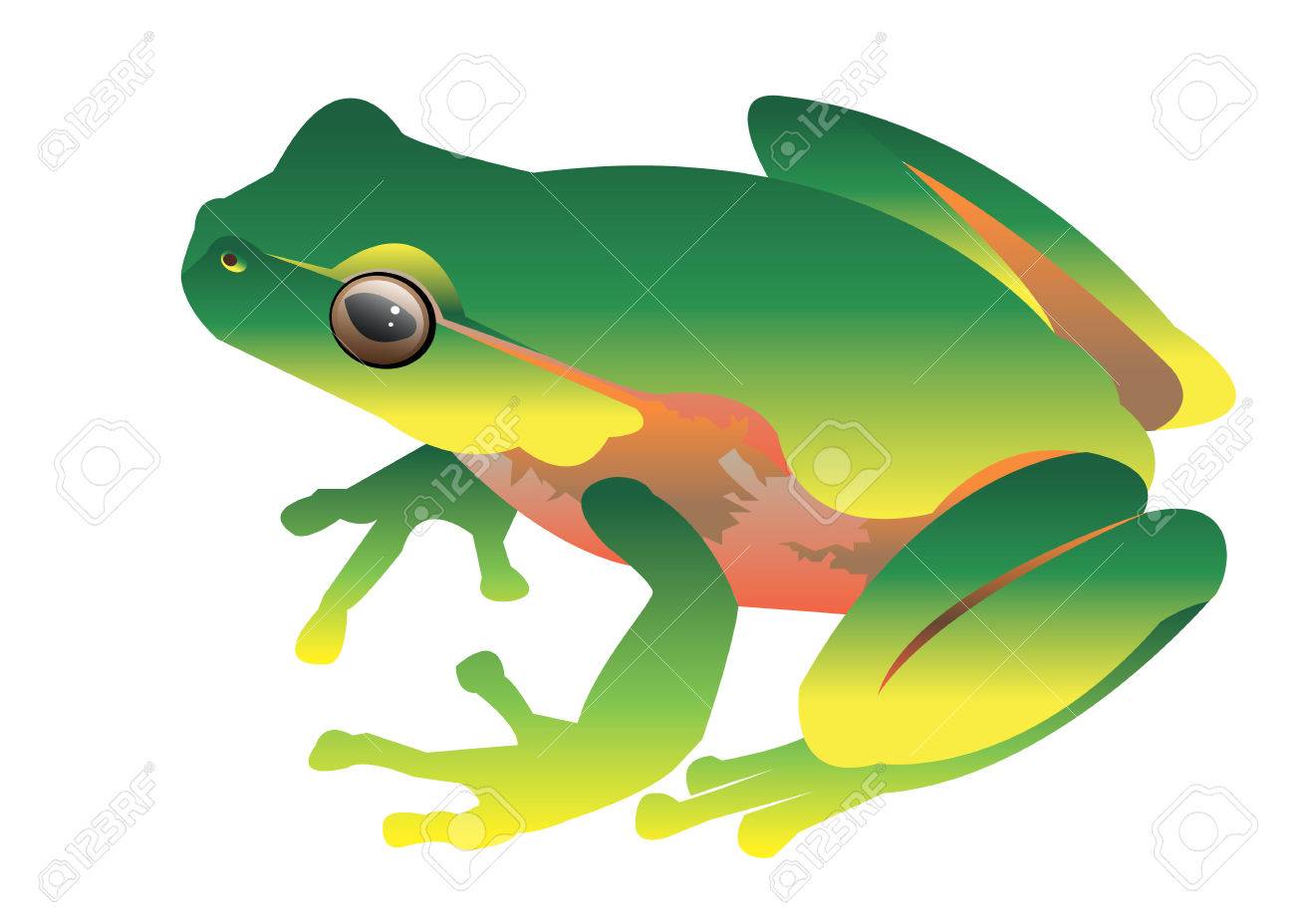 Frog Toad Green Small Illustration Color Royalty Free SVG, Cliparts,  Vectors, and Stock Illustration. Image 73831210., image size:1300x928