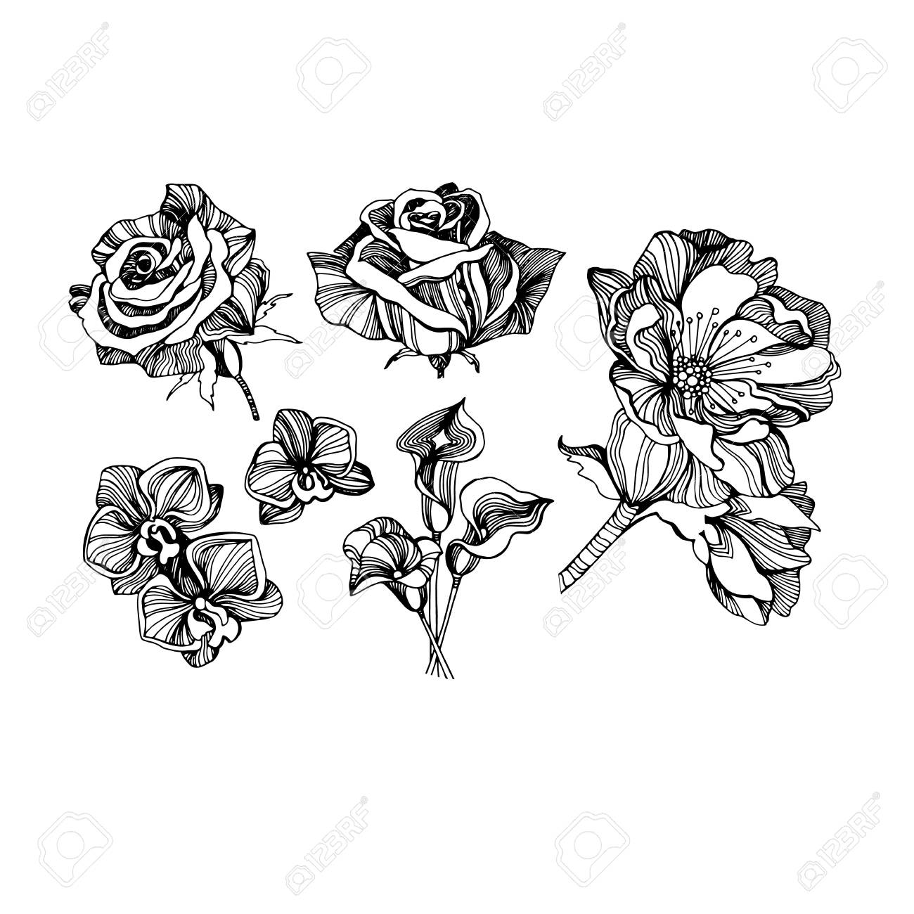Color Set Collection Drawings Sketches Beautiful Flowers Royalty Free Cliparts Vectors And Stock Illustration Image 75236672 Drawing a romantic couple beside a cherry tree ❖ jaylee is showing how to paint flowers, nature and other techniques on the. color set collection drawings sketches beautiful flowers