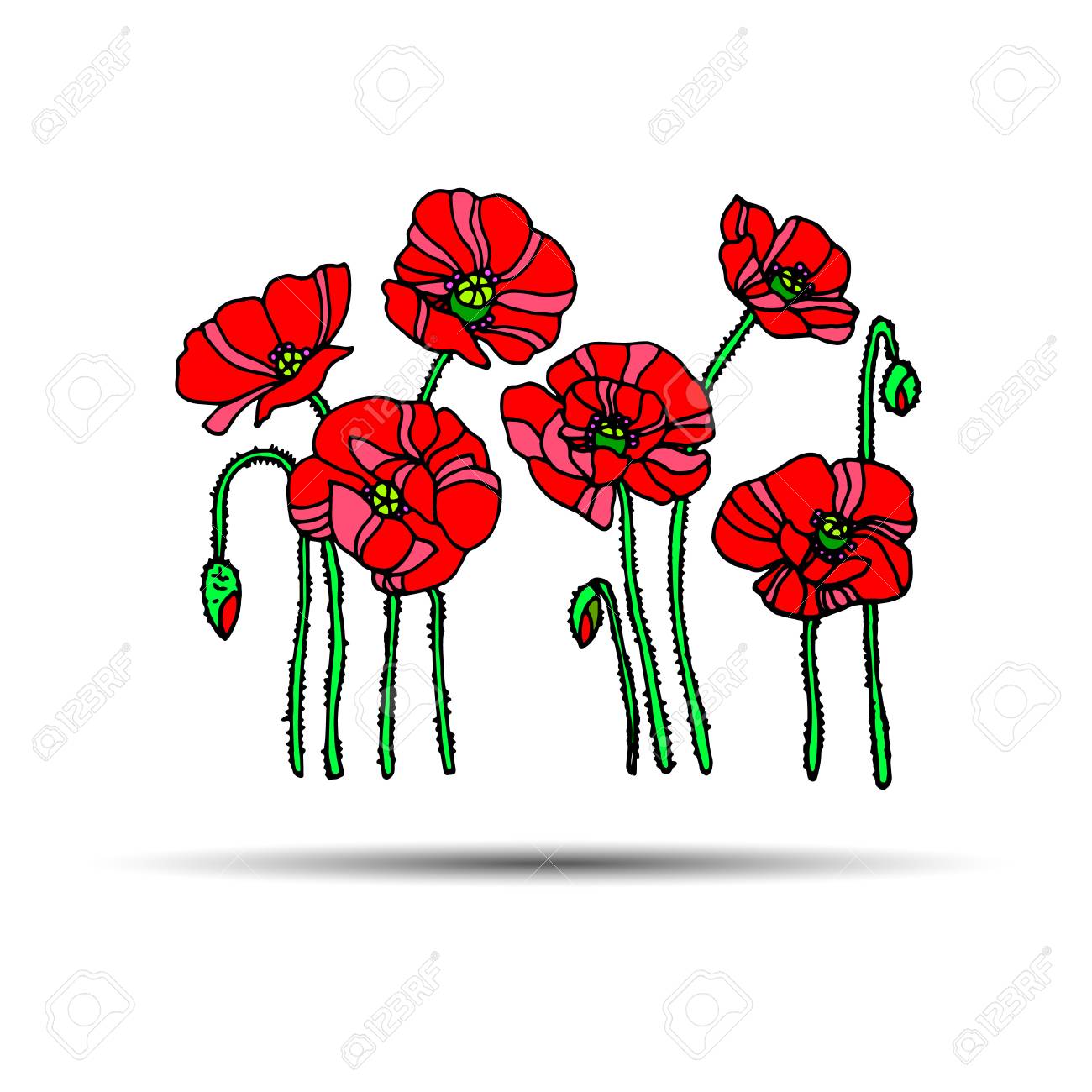 Coquelicot Nature Fleur Vecteur Plante Modèle Dessin Illustration Design