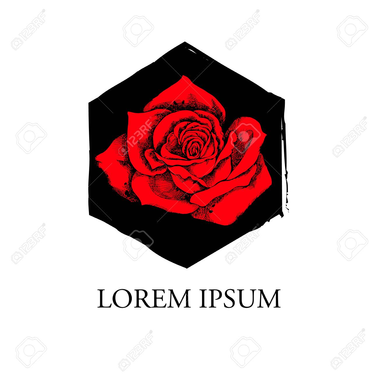 hand drawn rose vector unusual beautiful rose flower royalty free drawn rose