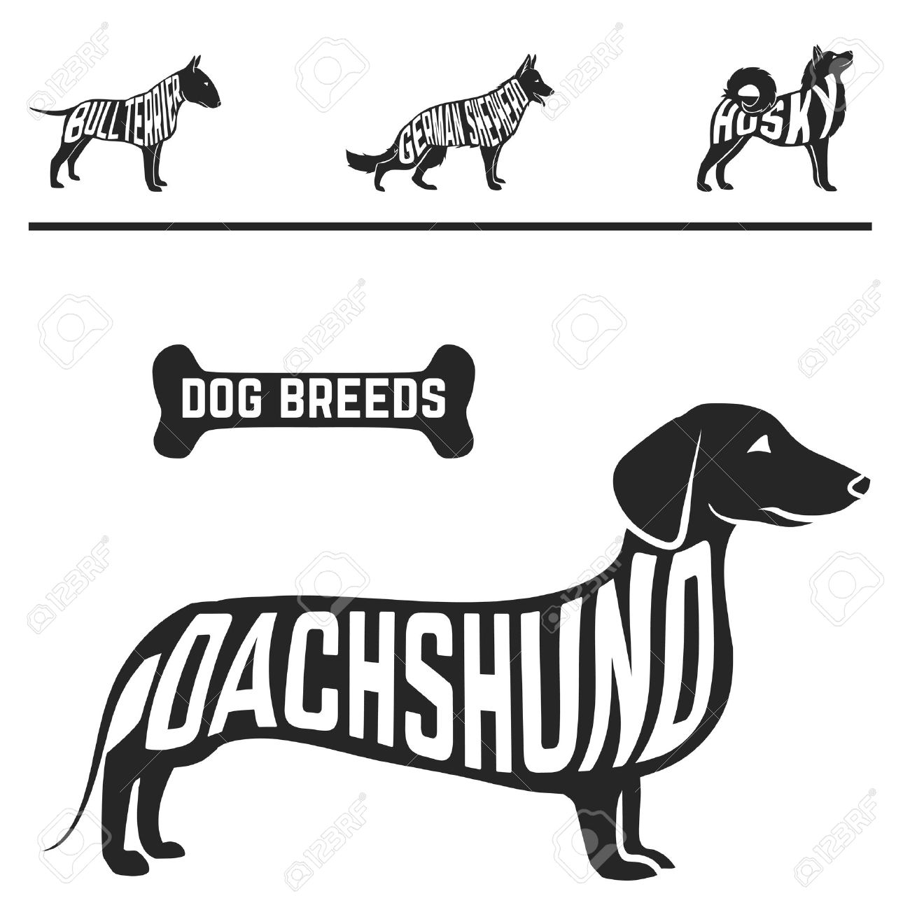 Isolés Silhouettes De Race De Chien Mis Avec Les Noms Des Races à Lintérieur Sur Baclground Blanc Vector Illustration