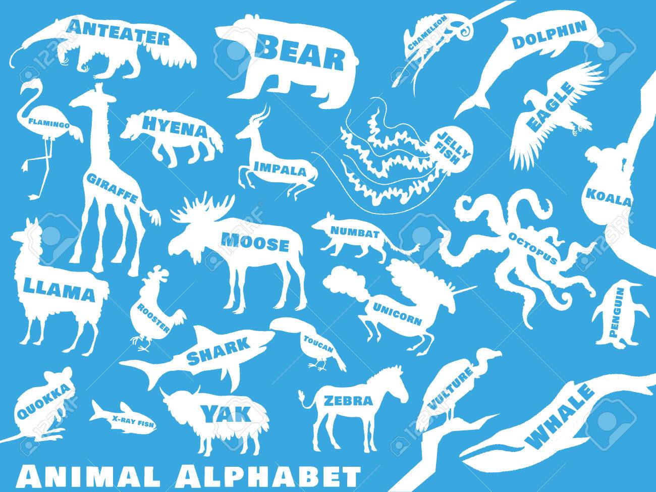 Animal Alphabet Poster For Children Animal Silhouettes With Names And Letters Inside Poster Concept From A To Z Vector Illustration Royalty Free Cliparts Vectors And Stock Illustration Image 42015757