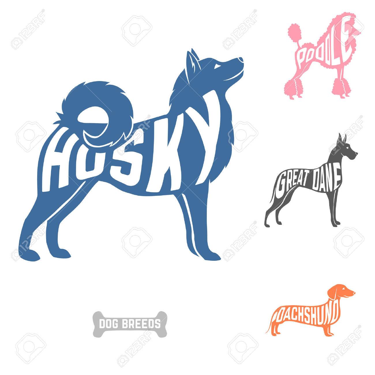 Isolés Silhouettes De Race De Chien Mis Avec Les Noms Des Races à Lintérieur Sur Baclground Blanc Vector Illustration