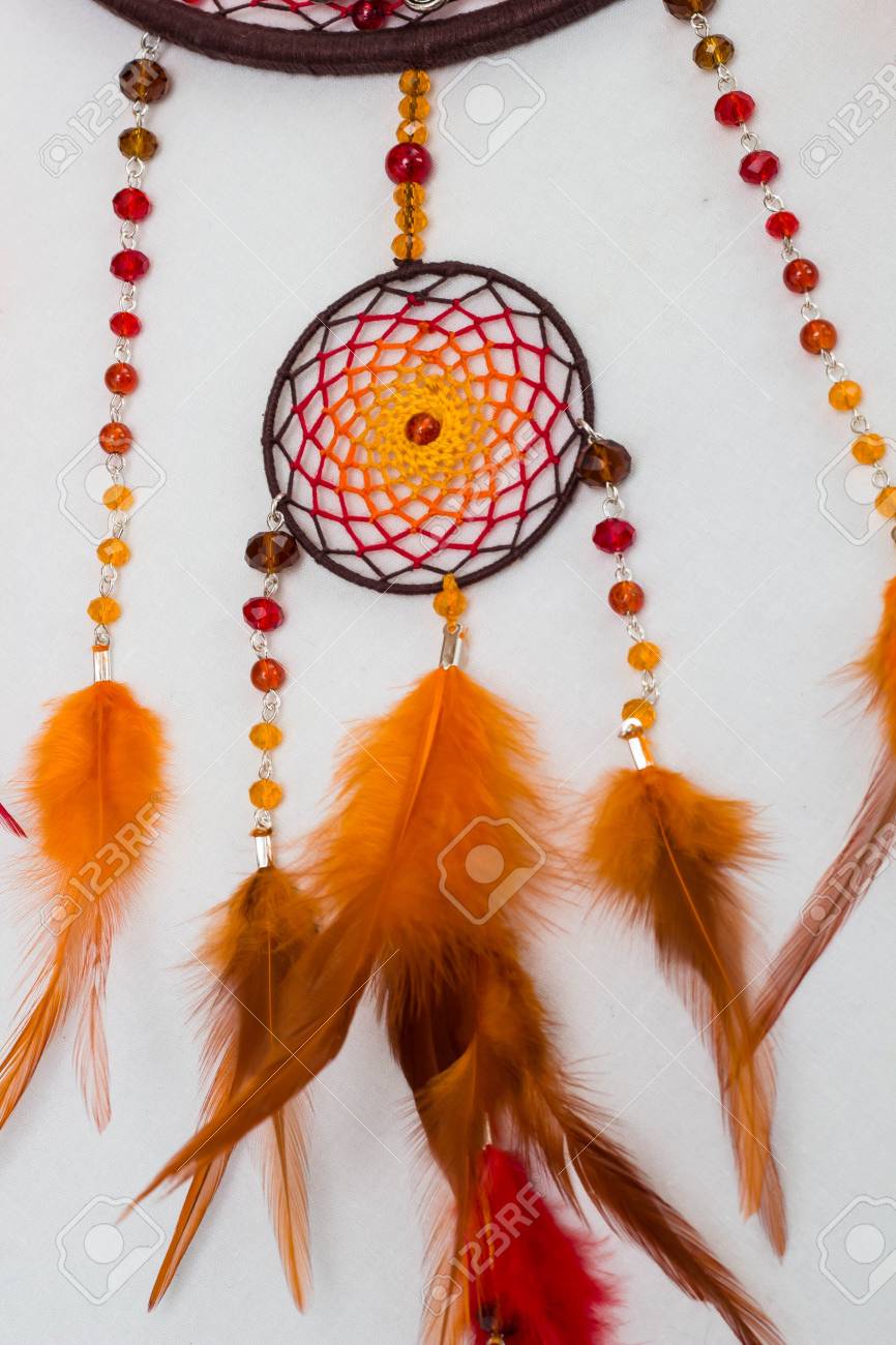 Hermosa Cazador De Suenos Naranja Sobre Fondo Blanco Fotos Retratos Imagenes Y Fotografia De Archivo Libres De Derecho Image