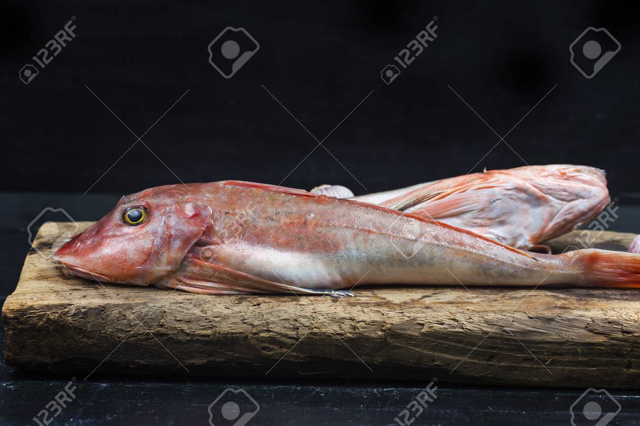 Red Gurnard Fish Stock Photo, Picture 