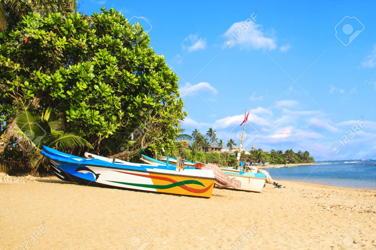 Bentota, Sri Lanka: how to get Description and reviews 93 Bentota, Sri Lanka: how to get Description and reviews 22