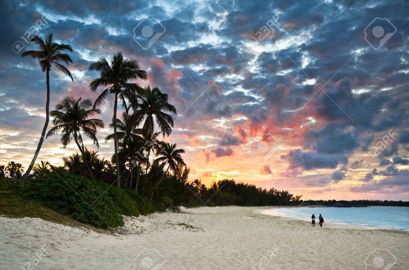 Sunset on The Beach of Caribbean Sea Palm Trees in Seashore Scenic Exotic View High Gloss Aluminum Novelty Plate 5.88 L X 11.88 W Inches Orange Yellow Lunarable Tropical License Plate Sunset on The Beach of Caribbean Sea Palm Trees in Seashore Scenic Exotic View High Gloss Aluminum Novelty Plate 5.88 L X 11.88 W Inches Orange Yellow Lunarable Tropical License Plate