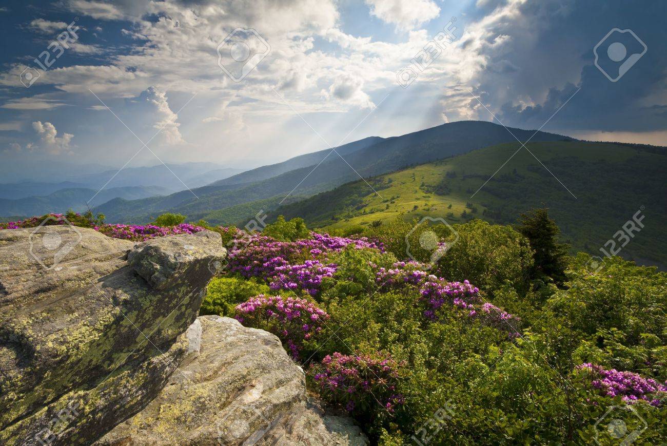 roan mountain backpacking