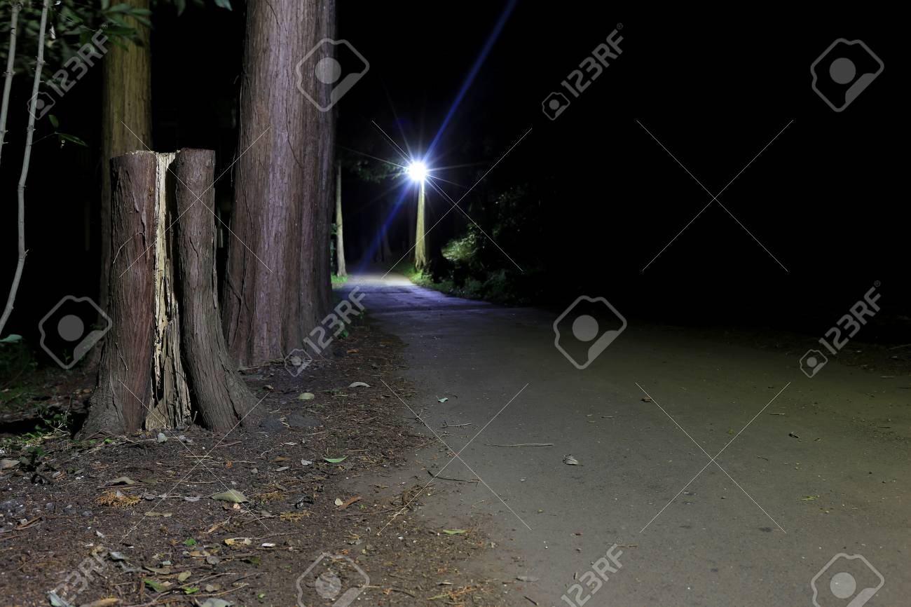 Uma Estrada Solitaria Serpenteia Atraves De Uma Floresta Japonesa Escura Na Noite Fotos Retratos Imagenes Y Fotografia De Archivo Libres De Derecho Image 83685032