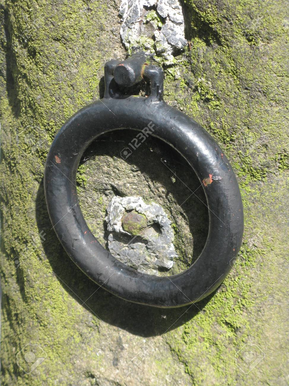 鉄リング の写真素材 画像素材 Image