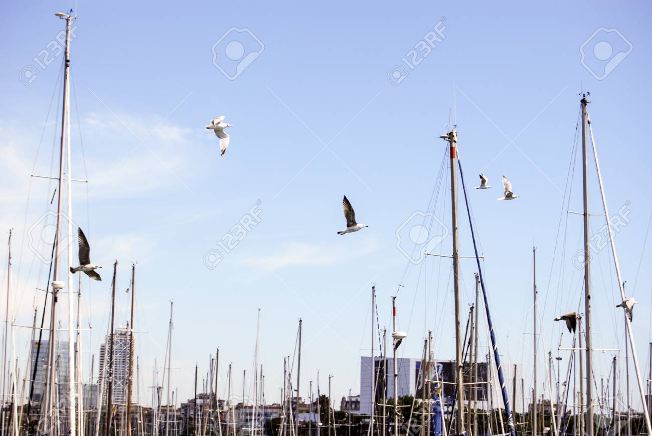 etiam-dictum-ipsum-a-felis