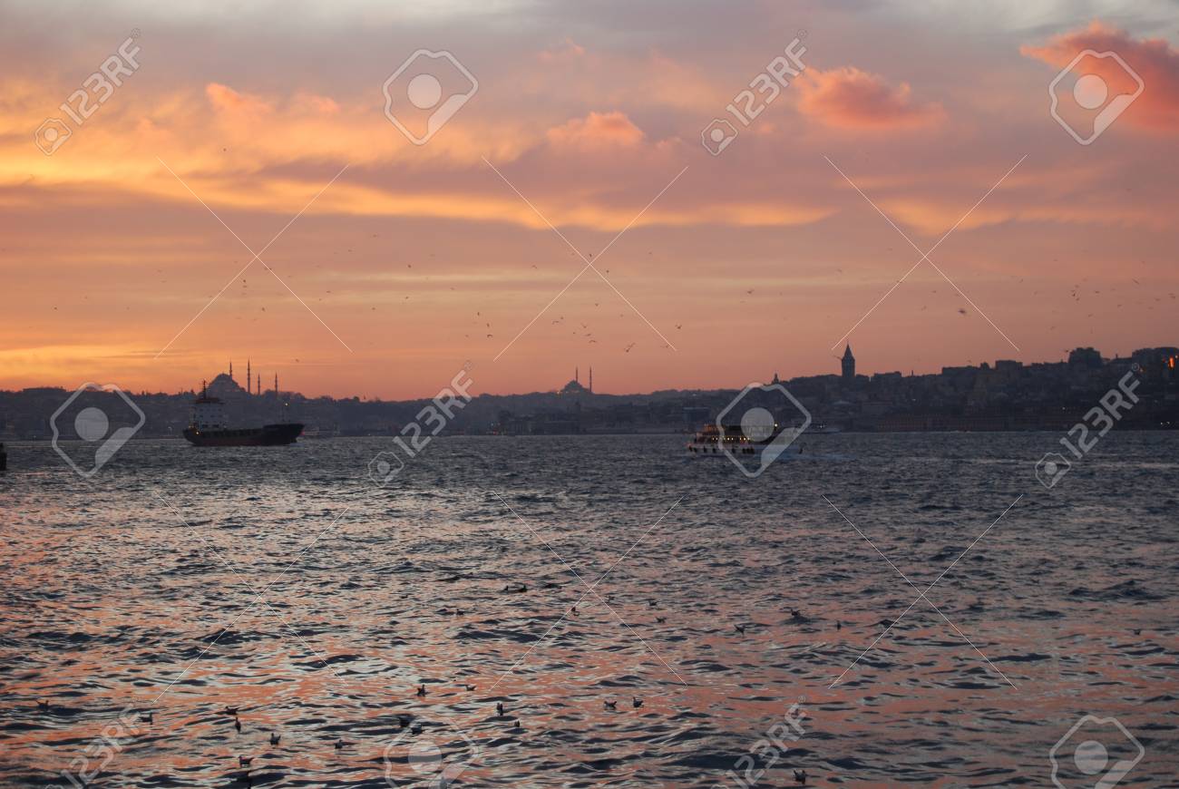 etiam-dictum-ipsum-a-felis