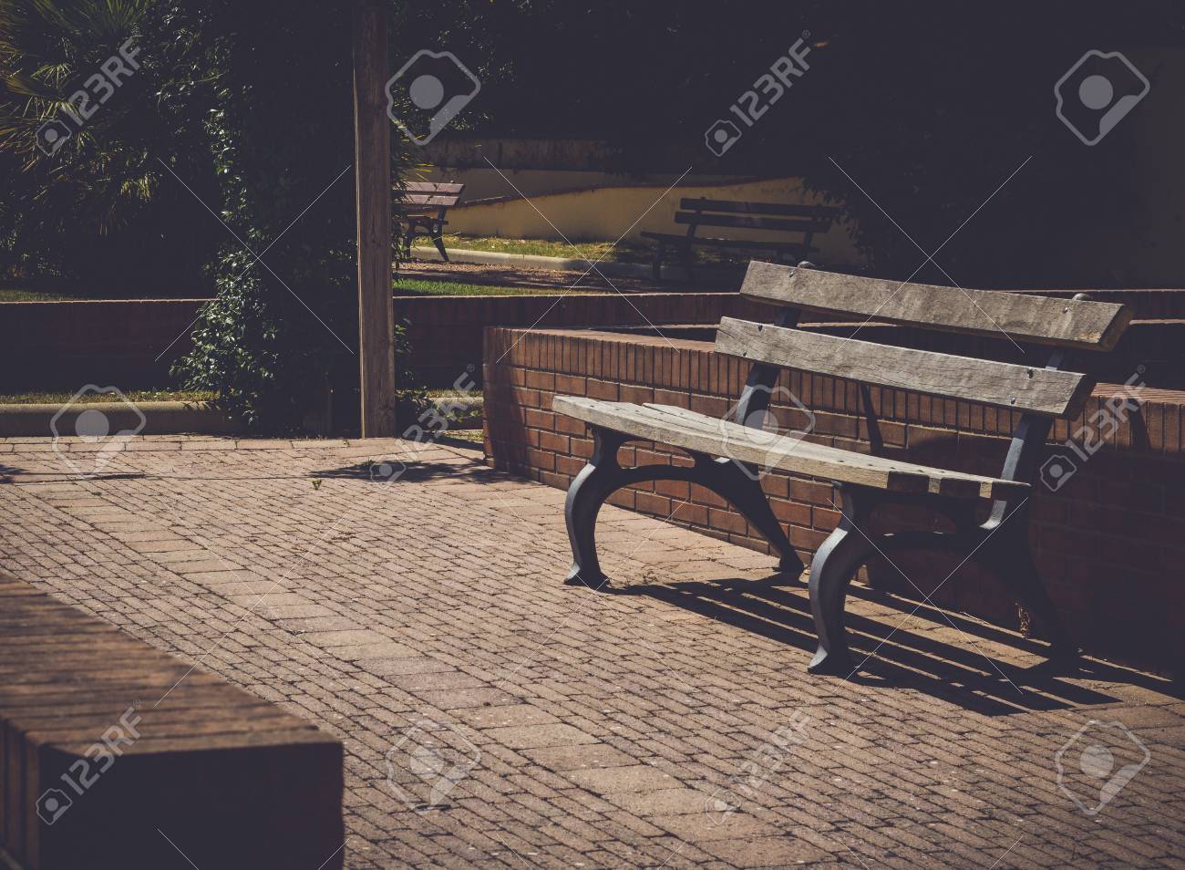 etiam-dictum-ipsum-a-felis