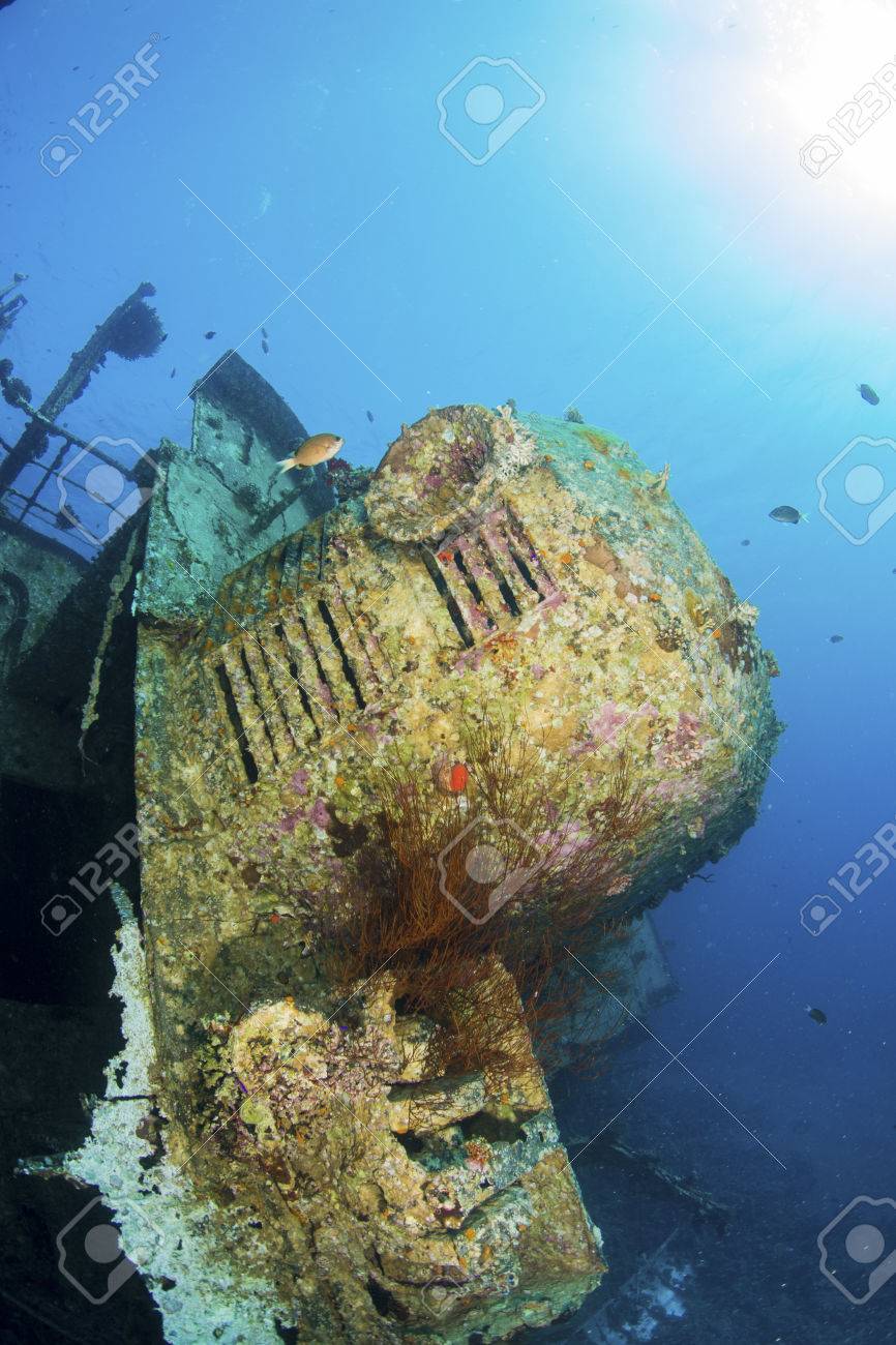 杉プライド アカバは 紅海 ヨルダンの難破船 の写真素材 画像素材 Image