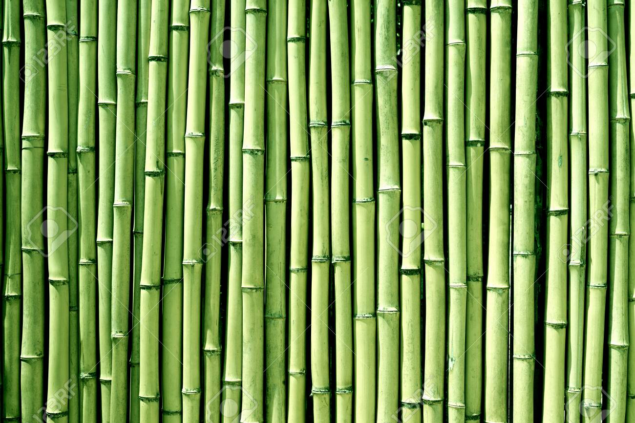 Green Bamboo Wood Wall Background Texture Stock Photo, Picture And Royalty  Free Image. Image 103407356.