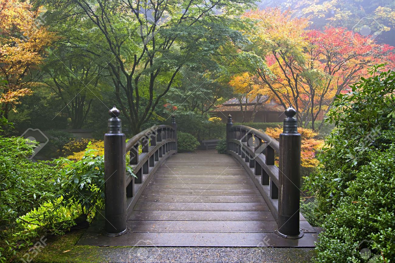 Pont En Bois A Jardin Japonais De Portland Oregon En Automne Banque D Images Et Photos Libres De Droits Image 8152736