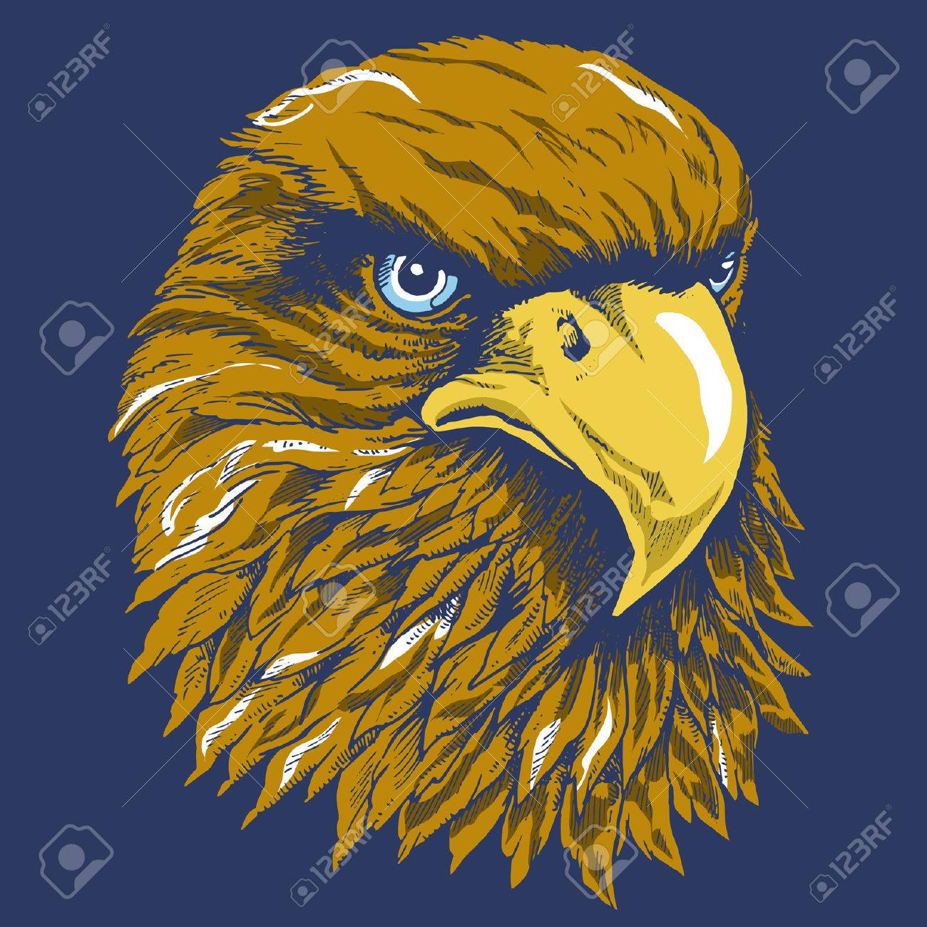 タカ頭のイラスト素材 ベクタ Image タカ頭のイラスト素材 ベクタ Image