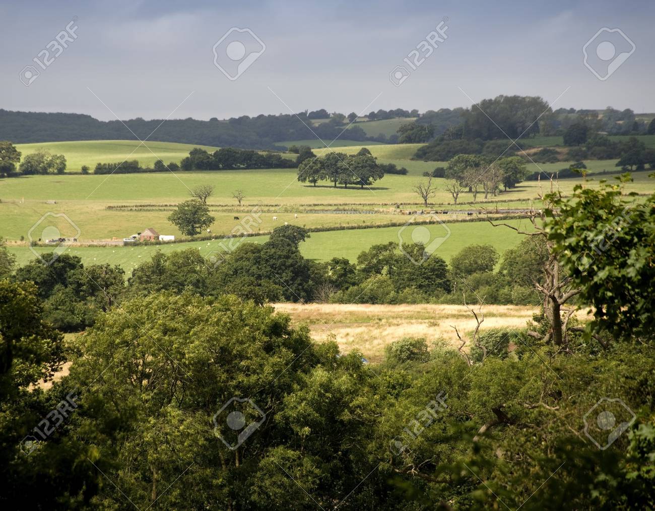 etiam-dictum-ipsum-a-felis