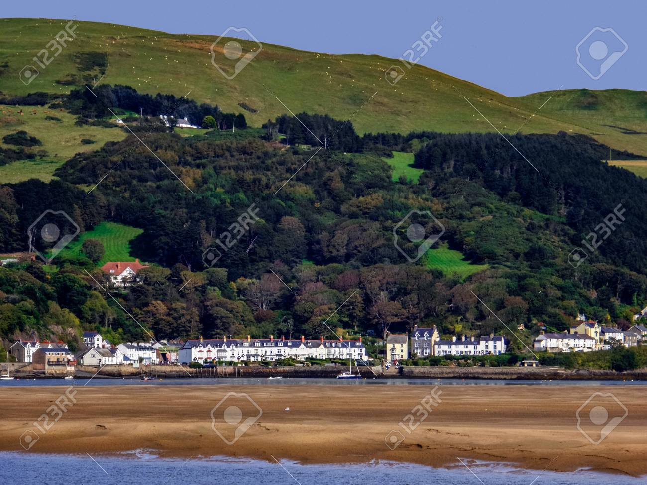 etiam-dictum-ipsum-a-felis