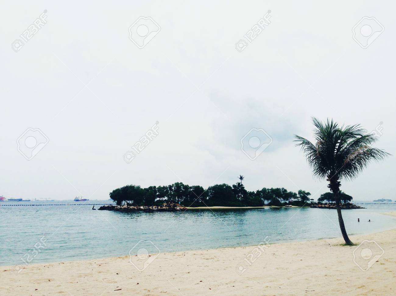 etiam-dictum-ipsum-a-felis