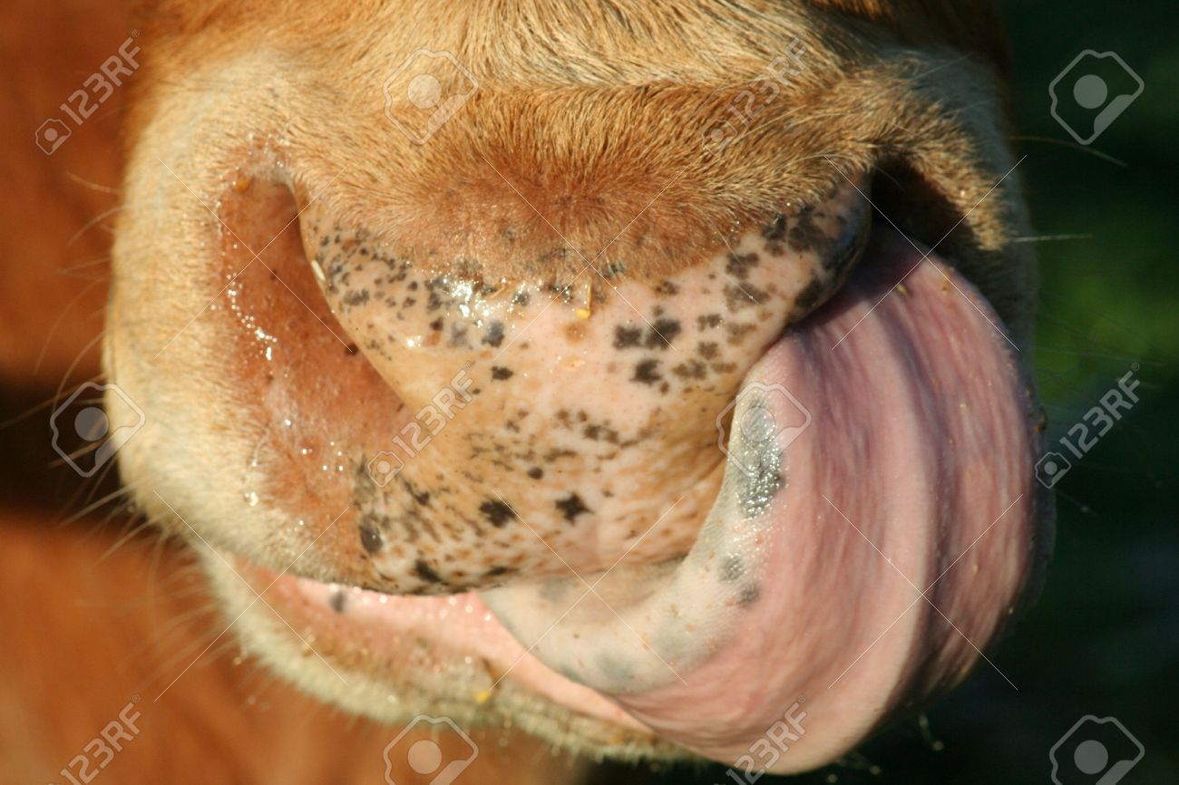 Wife stops sex Lick cose up