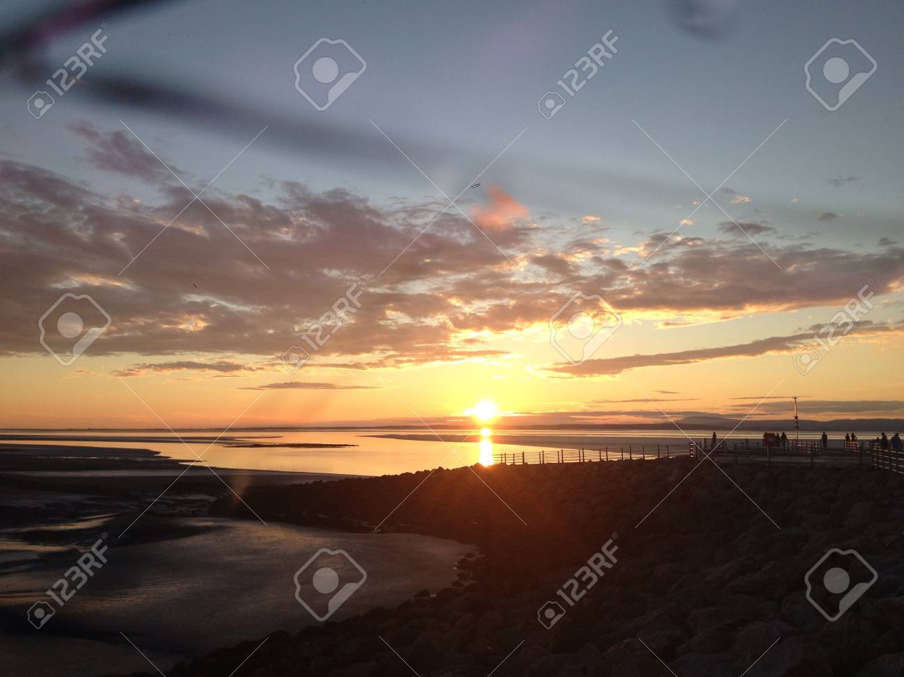 etiam-dictum-ipsum-a-felis