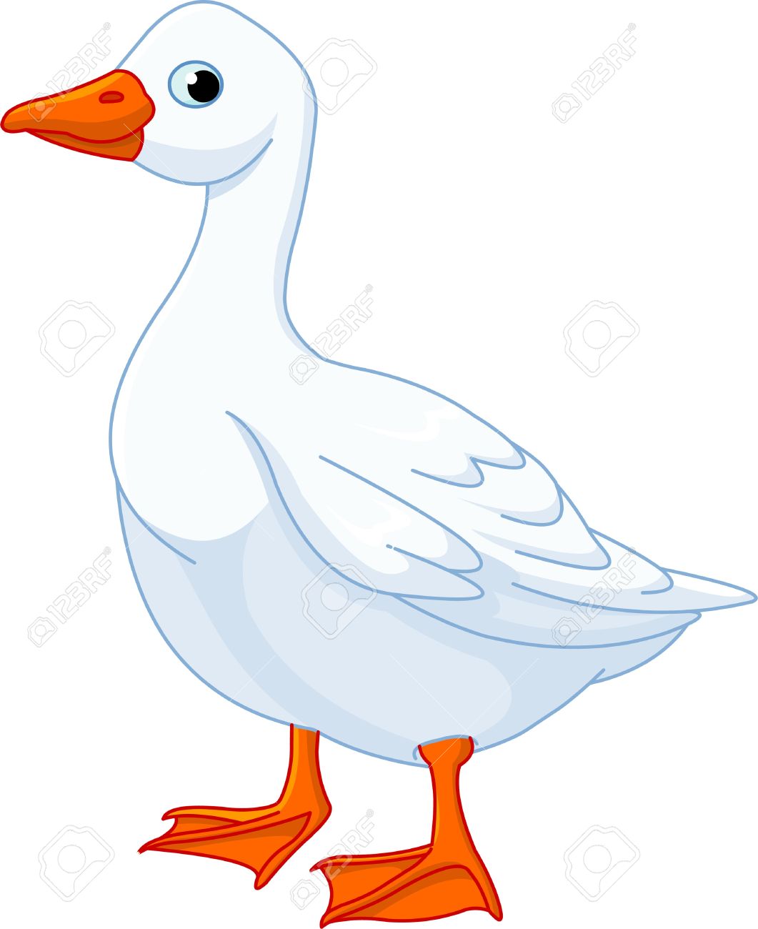 goose stock photos royalty free goose images