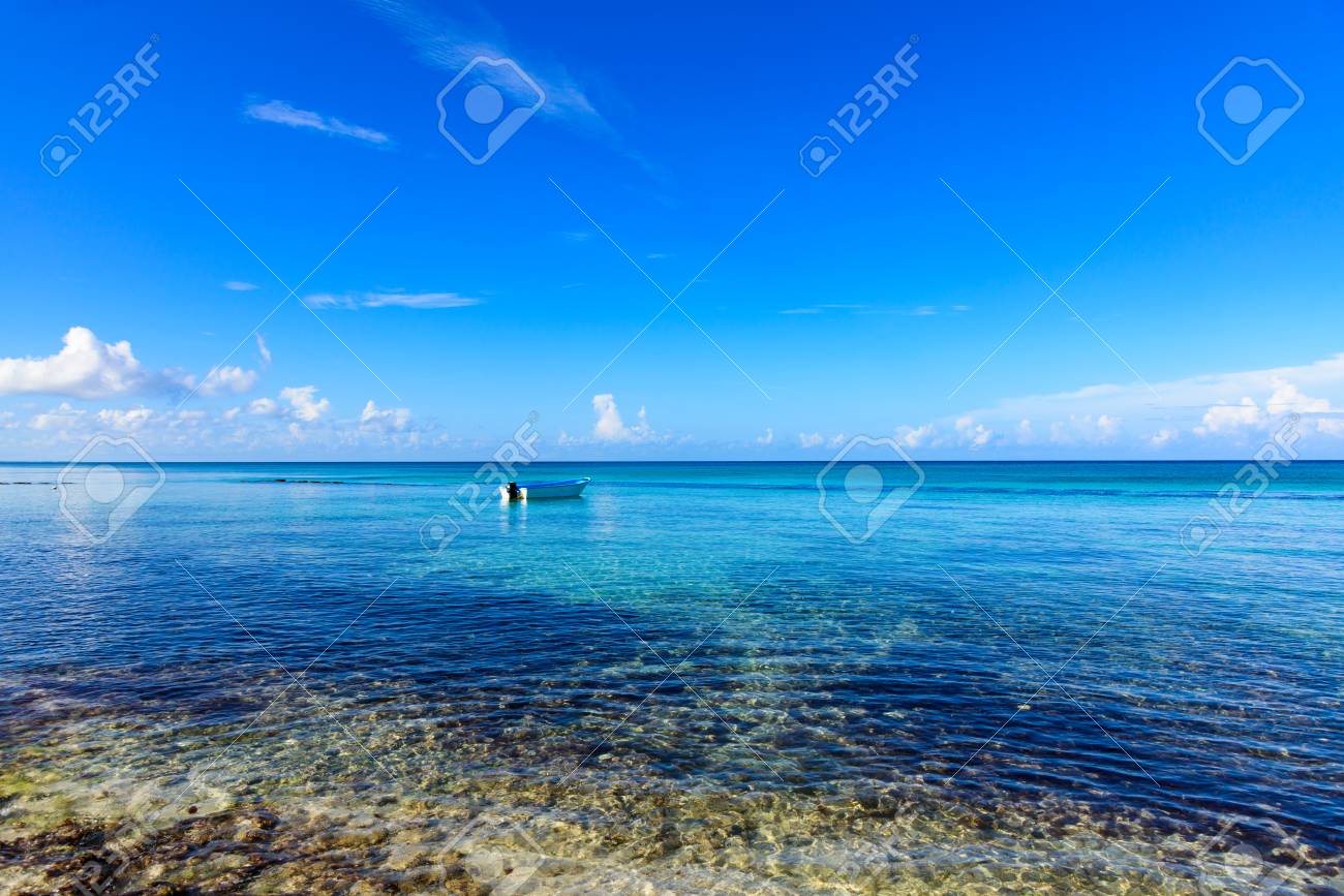 Nature Paradisiaque Mer Sur Une Plage Tropicale Avec Palmier Vert Caraïbes République Dominicaine