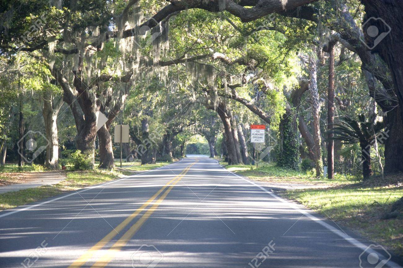 A Straight Road Through Old Southern Oak Trees Stock Photo ... for Straight Road With Trees
45ifm A Straight Road Through Old Southern Oak Trees Stock Photo ... for Straight Road With Trees
45ifm