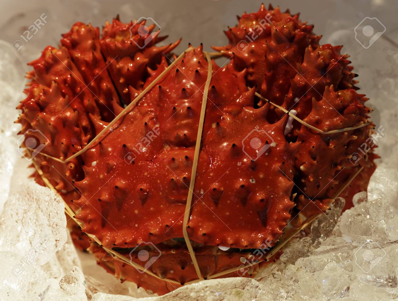 etiam-dictum-ipsum-a-felis