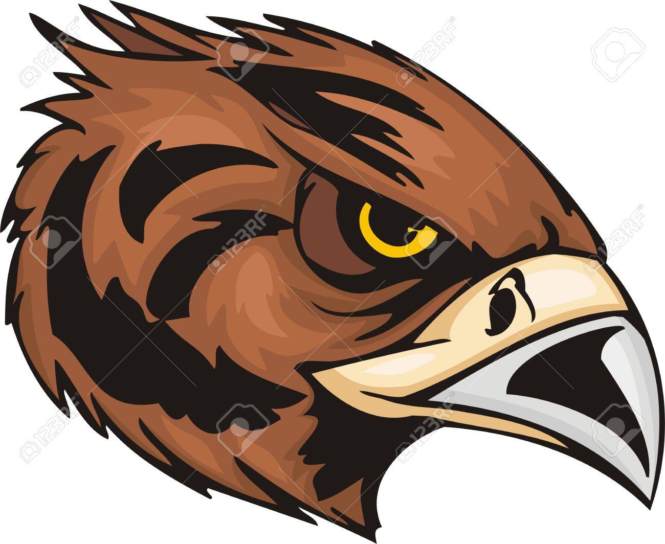 Chef De La Buse Avec Des Yeux Jaunes Oiseaux Prédateurs Illustration Versions De Couleur Noir Et Blanc