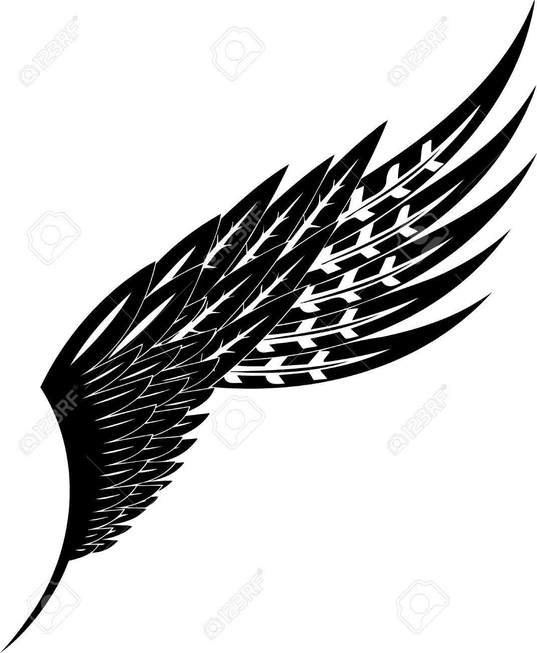 wings vector illustration ready