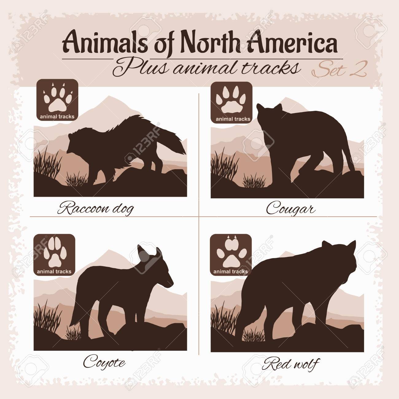 Nordamerika Tiere Und Tierspuren Fussabdrucke Vektor Set Lizenzfrei Nutzbare Vektorgrafiken Clip Arts Illustrationen Image 55819084