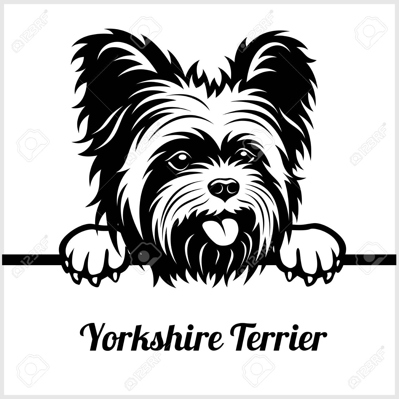 Yorkshire Terrier - Peeking Dogs - - breed face head isolated on white - 118845803 Yorkshire Terrier - Peeking Dogs - - breed face head isolated on white - 118845803